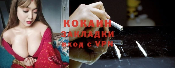 стаф Алзамай
