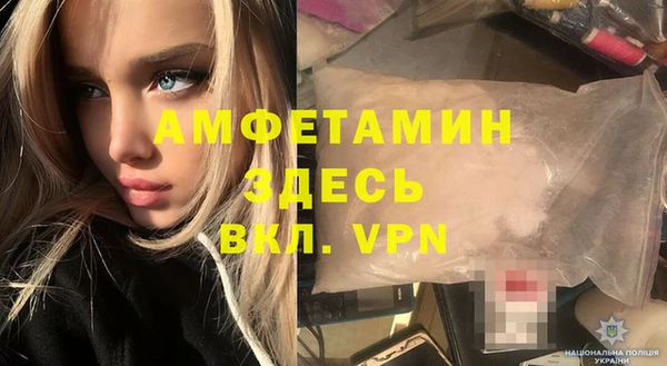 стаф Алзамай