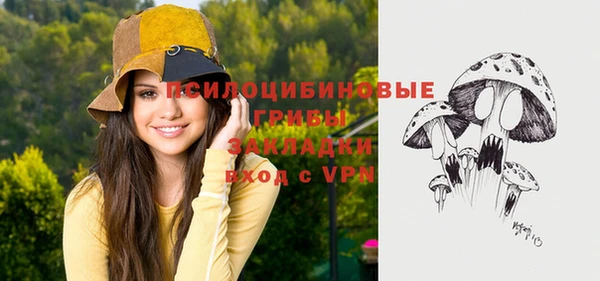 а пвп мука Рославль