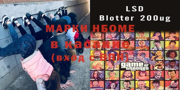 стаф Алзамай