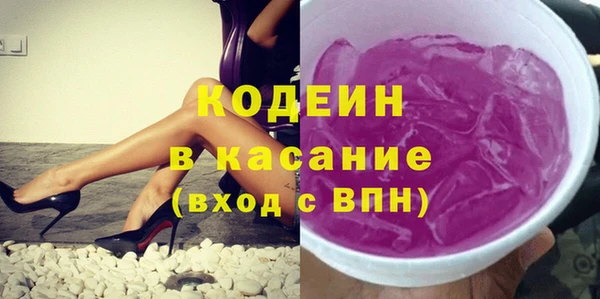 стаф Алзамай