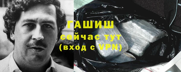 стаф Алзамай