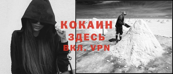 стаф Алзамай