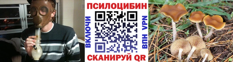 Галлюциногенные грибы Psilocybine cubensis  где найти   Мышкин 